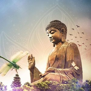 Shanti Wellness Festival  - Riverside Hout Bay 