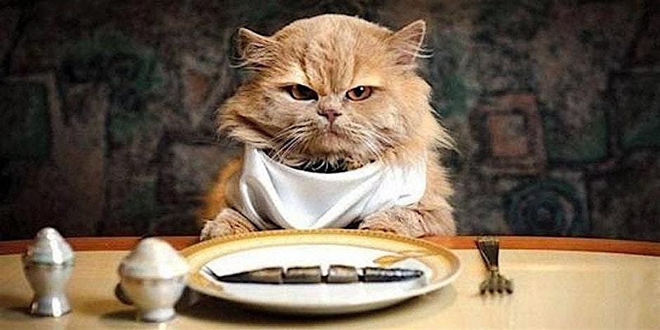 9th Annual Kitten Ka Noodle, hosted by House of Mews Rescue, 20 September | Event in Eastlake | AllEvents