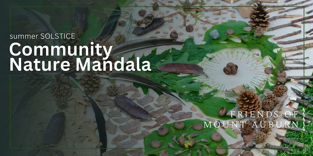 Community Nature Mandala, 21 June | Event in Cambridge | AllEvents