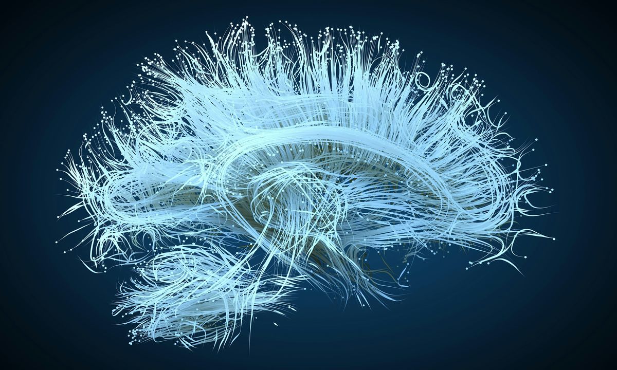 Nature Conferences- Towards Healthy Brain Aging, 9 December | Event in 달성군 | AllEvents