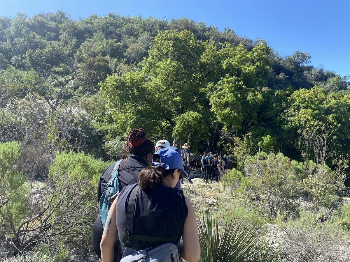 Guided Nature Hike, 24 May | Event in Glendale | AllEvents