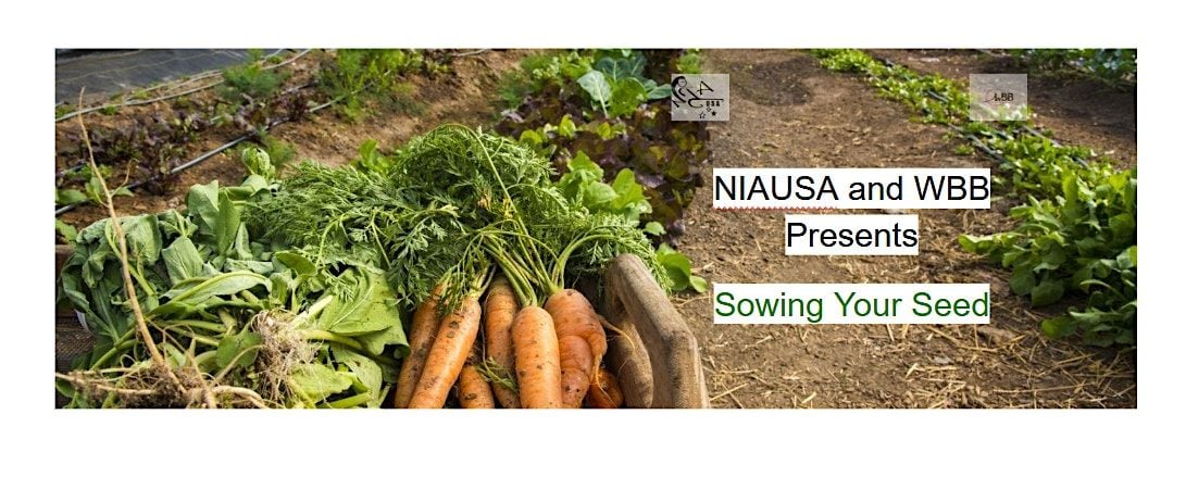 Sowing Your Seed, 23 August | Event in Houston | AllEvents