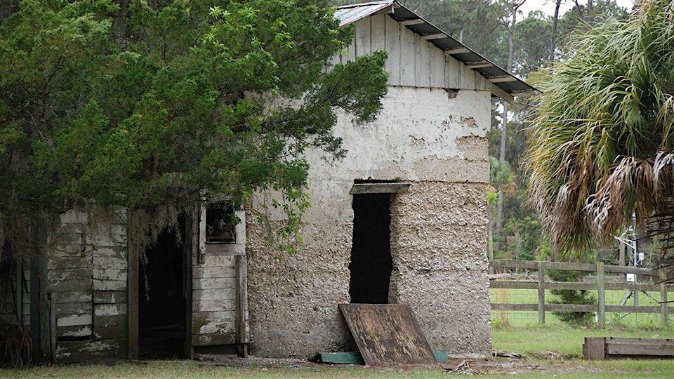 Day Trip and Tour of Ossabaw Island's North End, 15 November | Event in Ossabaw Island | AllEvents
