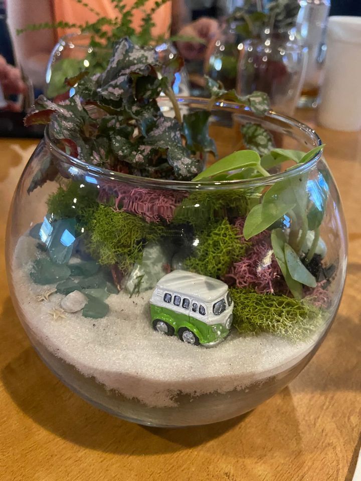 Build a Terrarium Class, Casey's Garden Shop and Florist, Bloomington