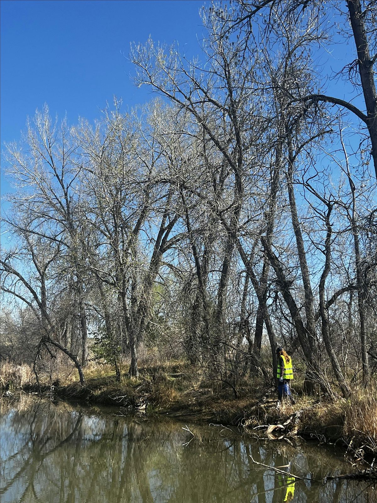 World Ocean Day 2025 River Clean-up, 8 June | Event in Fort Collins | AllEvents