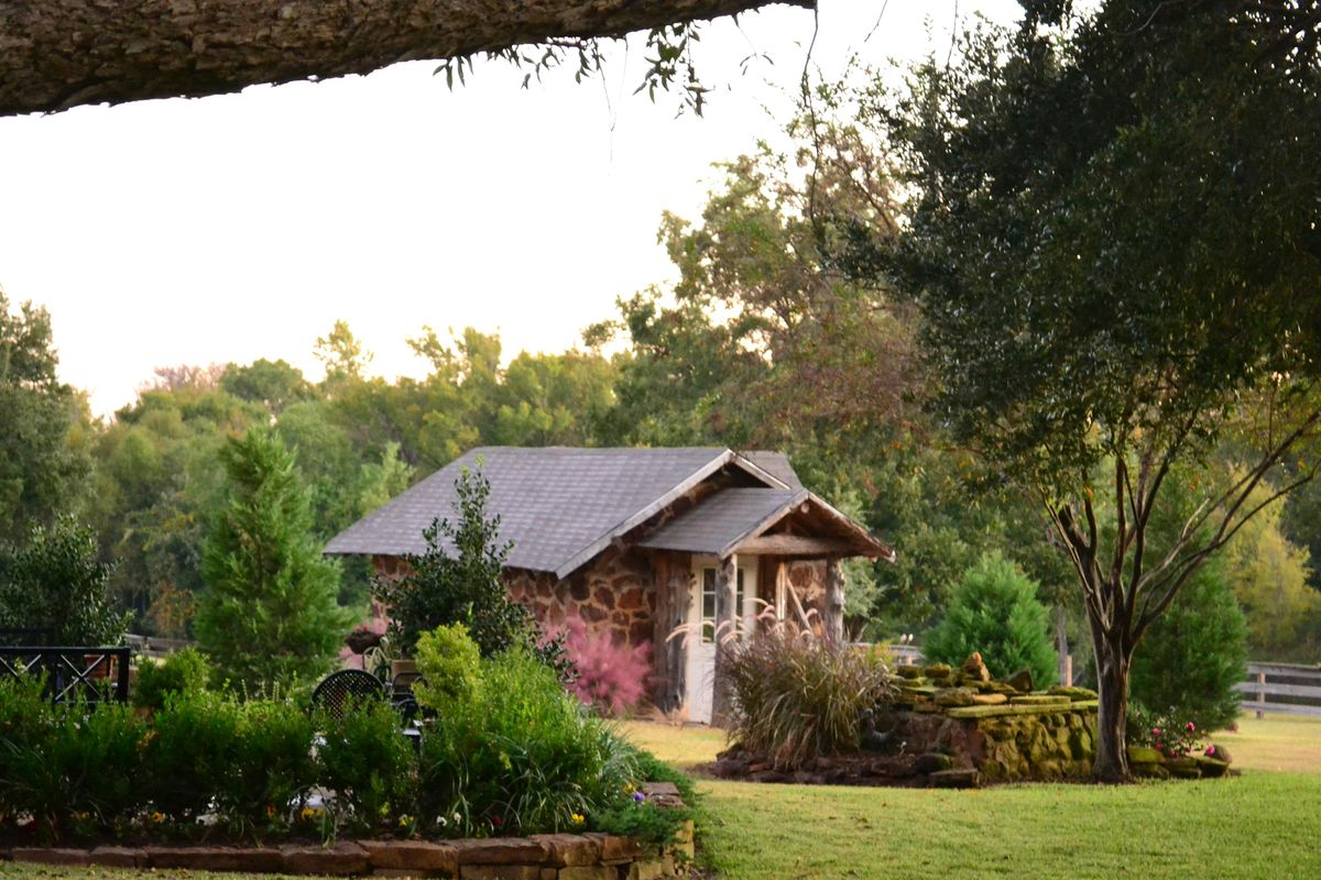 Cinnamon Rolls at McNair Farm, Saturday, August 9, 2025   Hours:  9 am -12, 9 August | Event in Athens | AllEvents