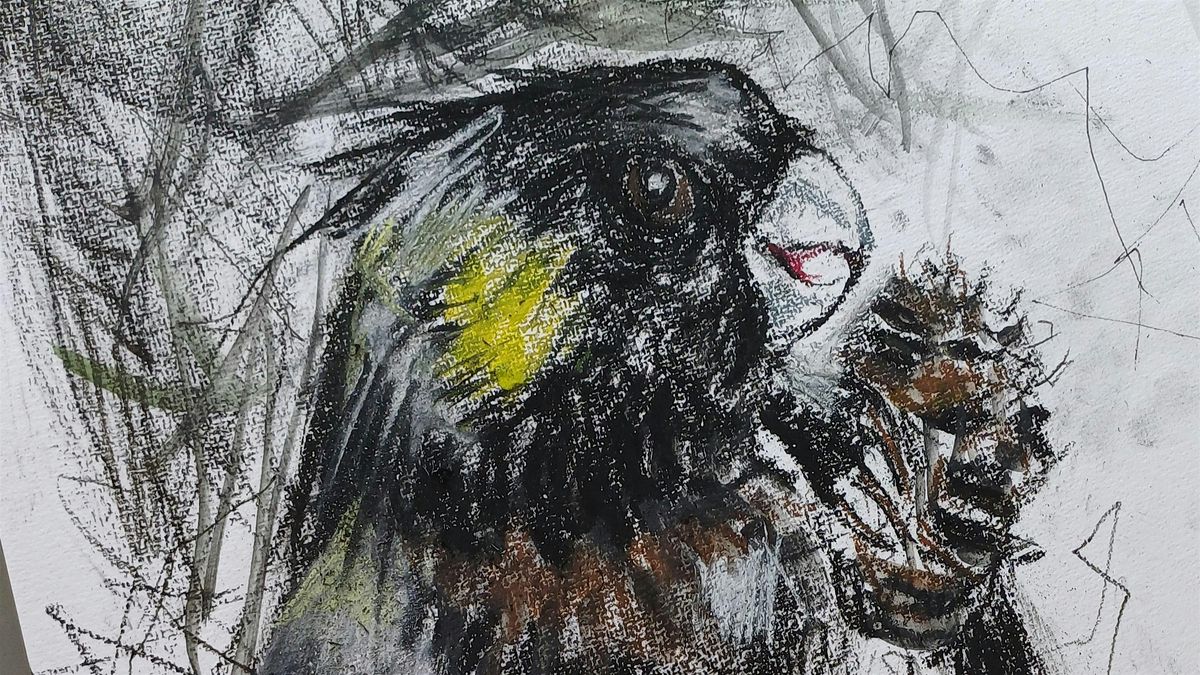 Expressive Drawing – Black Cockatoo- With Fiona Boxall, 15 November | Event in Yass | AllEvents