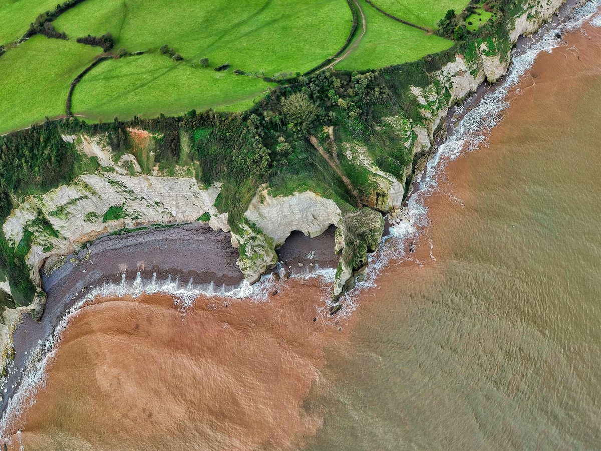 Canva: Create a Poster - East Devon Bitesize Sessions, 12 November | Event in Sidmouth | AllEvents