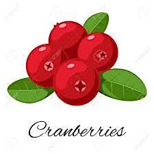 Extraordinary Cranberry, 8 November | Event in Lubbock | AllEvents