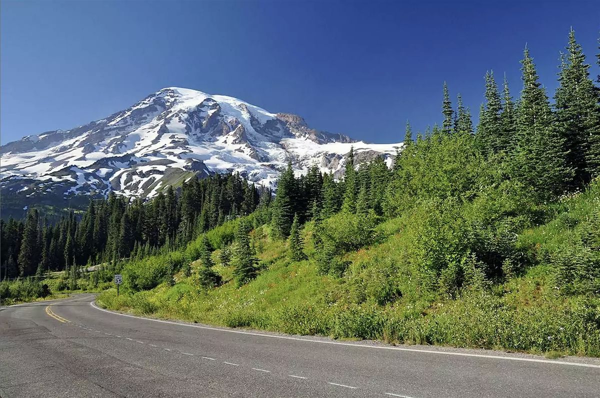 Mercy, The Stamp of Creation | Wasat x Bustan | Workshop, 16 November | Event in Portland | AllEvents