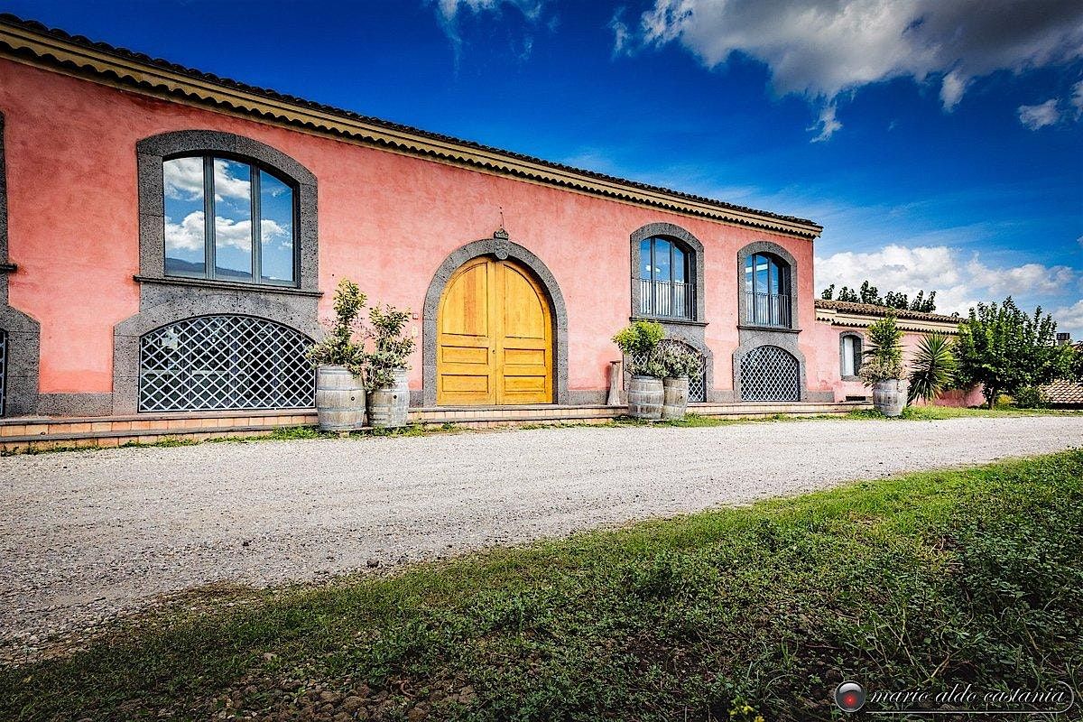 The Wines of Tenuta Terre Nere, 15 November | Event in Wrentham | AllEvents