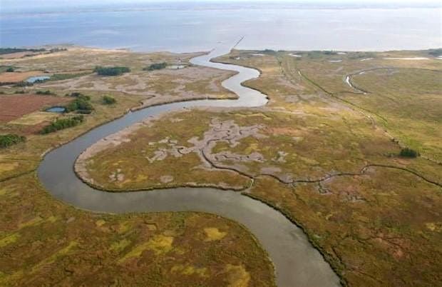 Wetlands 101: A Prized Natural Resource in Delaware, 6 November | Event in Bethany Beach | AllEvents