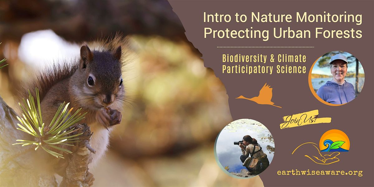 Introduction to Nature Monitoring – Protecting Urban Forests, 10 November | Event in Medford | AllEvents