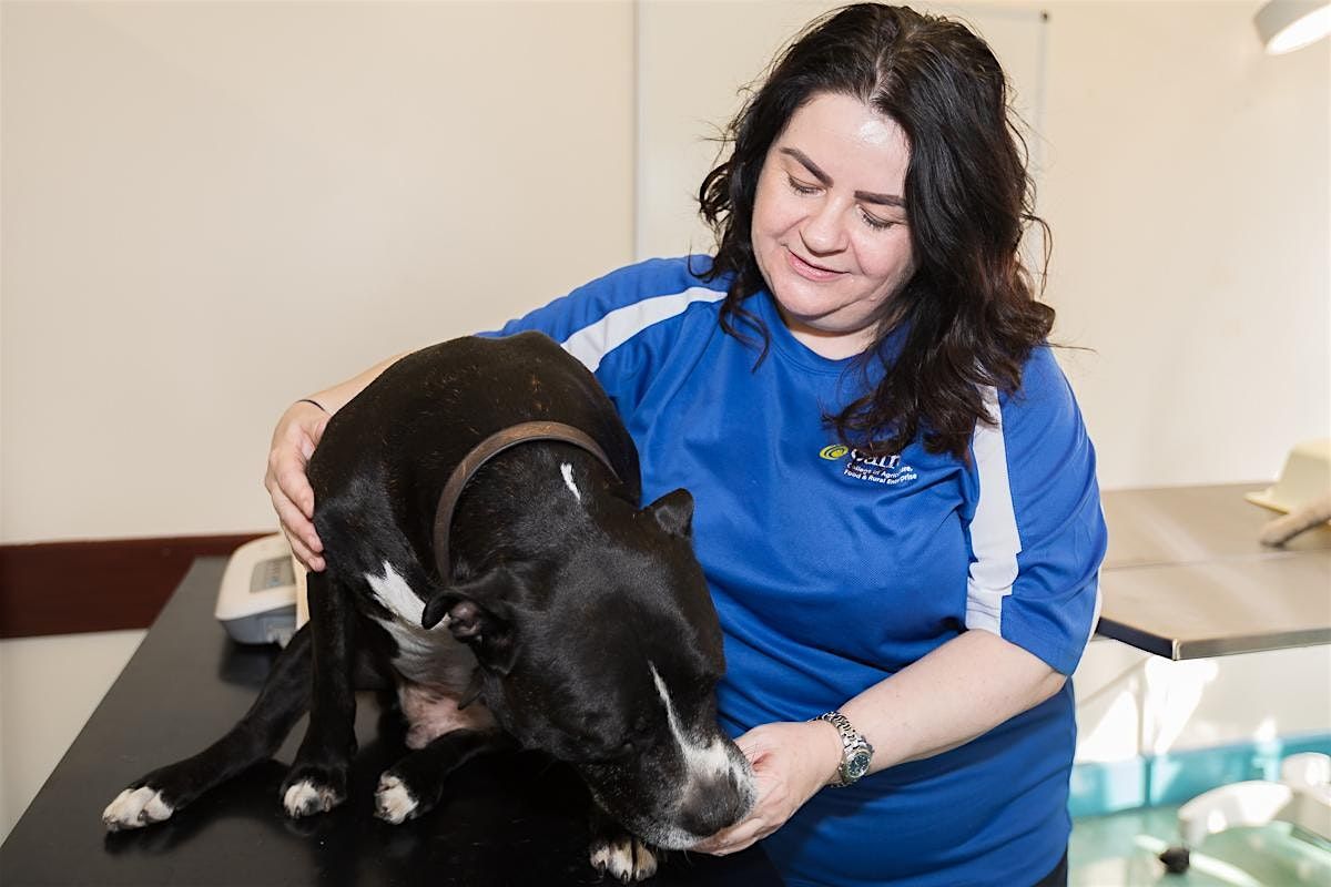 Veterinary Nursing Courses Open Day: Wed 11th March: 12pm, 4pm, 6pm, 11 March | Event in Antrim | AllEvents