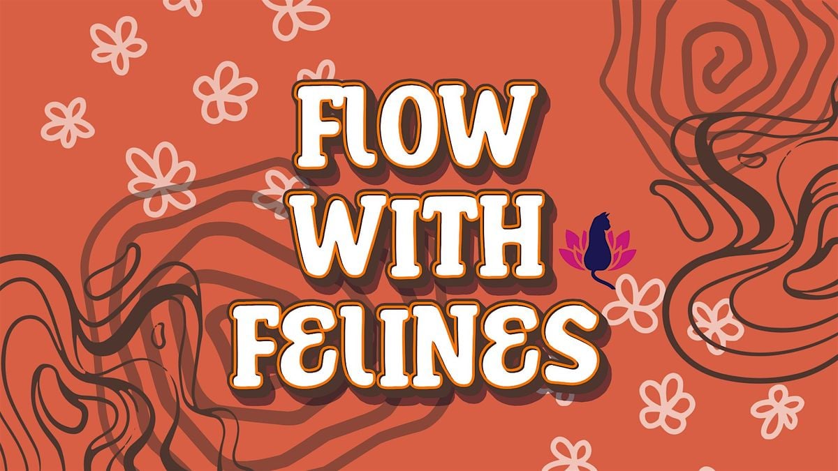 Flow With Felines, 23 August | Event in Bloomsburg | AllEvents