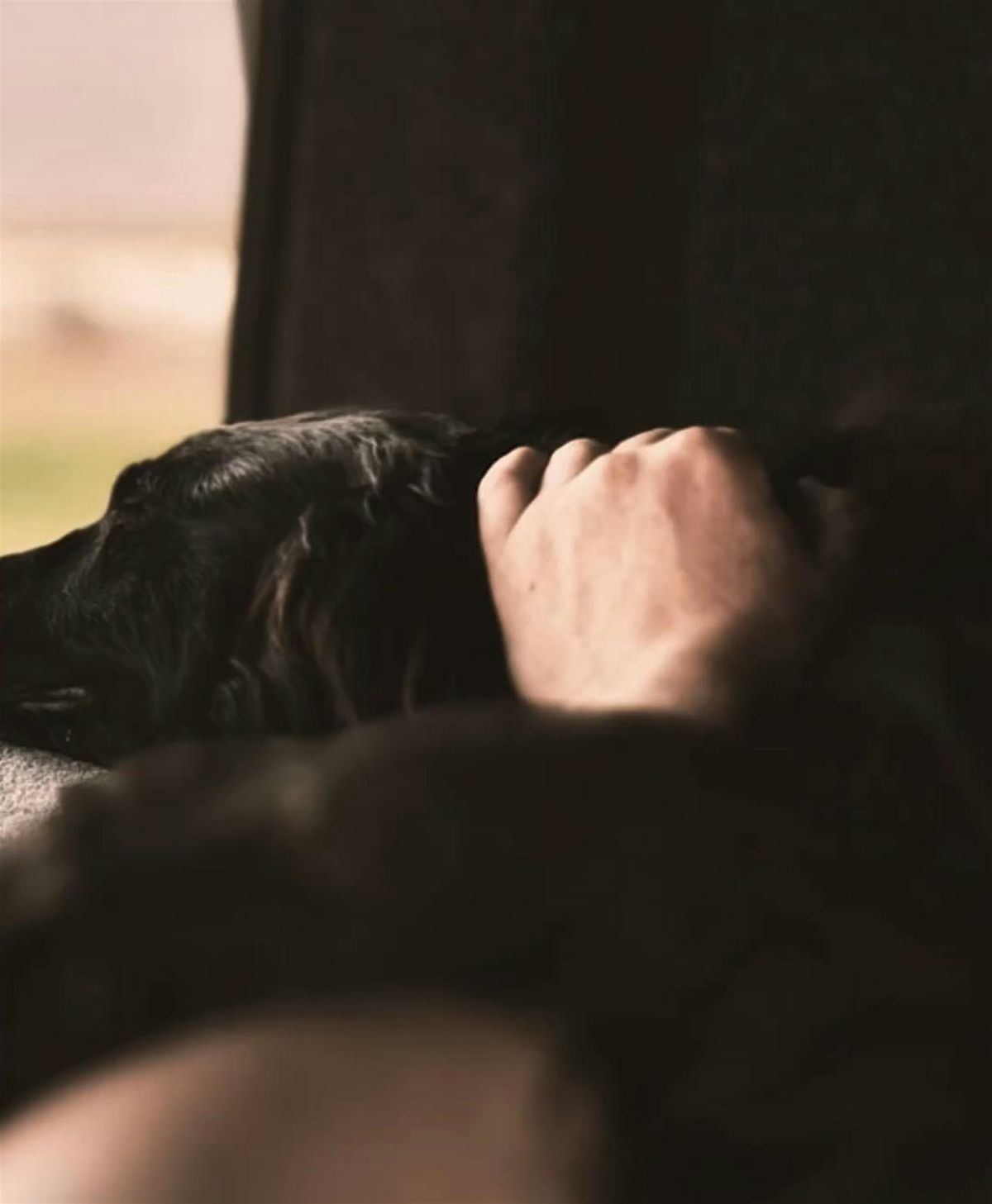 EMBODIED PULSE - Canine Edition, 15 November | Event in Singapore | AllEvents