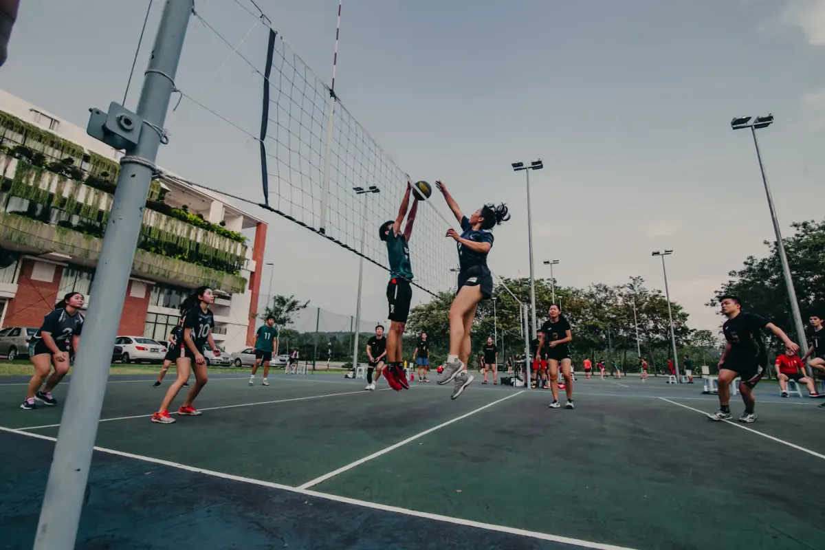 Hawaii at Cal Poly Mustangs Womens Volleyball, 16 November | Event in San Luis Obispo | AllEvents