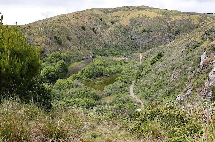 Ethnobotany and Basic Tracking Skills, 30 November | Event in Bodega Bay | AllEvents