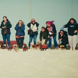 Extreme Horse Skijoring and Winter Dog Races