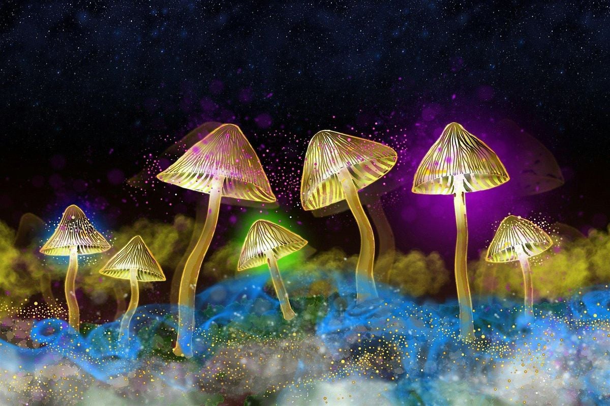 The Science of Psychedelics with Dr Sam Gandy, 30 October | Event in Northampton | AllEvents