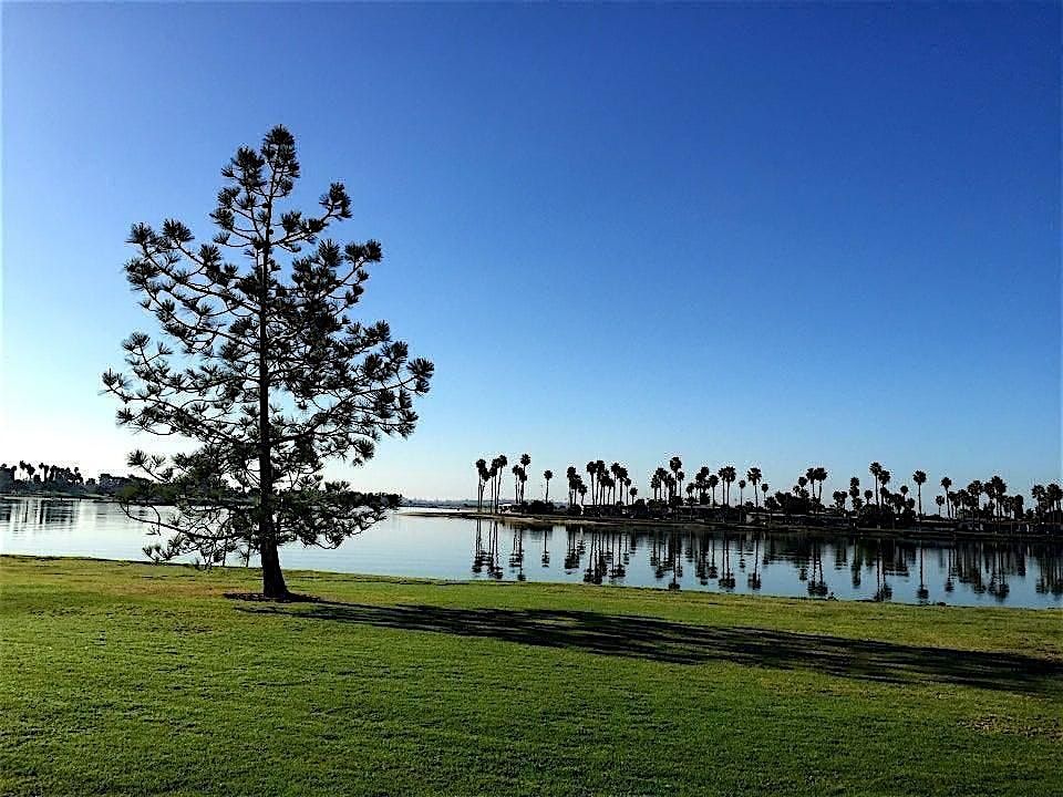 Mindful Movement - Yoga + Pilates at Mission Bay Park | Event in San Diego | AllEvents