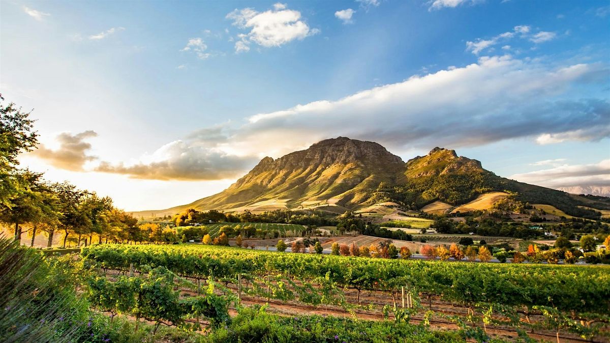 World of Wine Tasting: South Africa with Rainbow's End, 13 October | Event in London | AllEvents