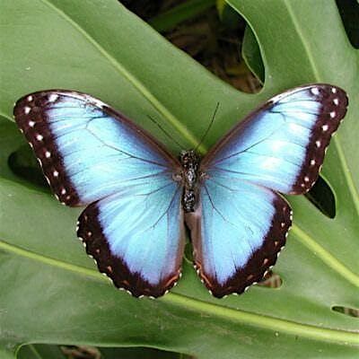 Metamorphosis Retreat 2025, 3 October | Event in Phoenix | AllEvents