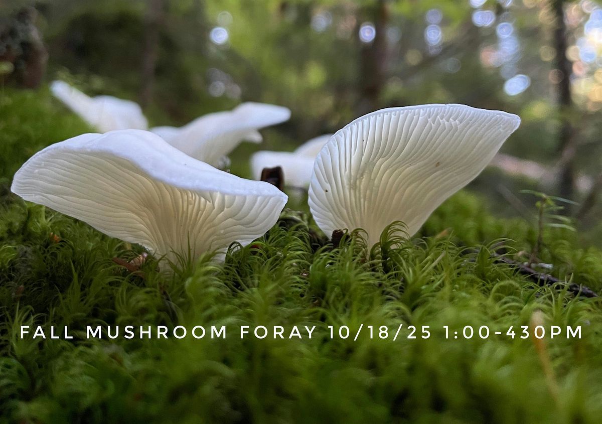 Fall Mushroom Foray Sat/10/18/25 1:00pm, 18 October | Event in Trout Lake | AllEvents