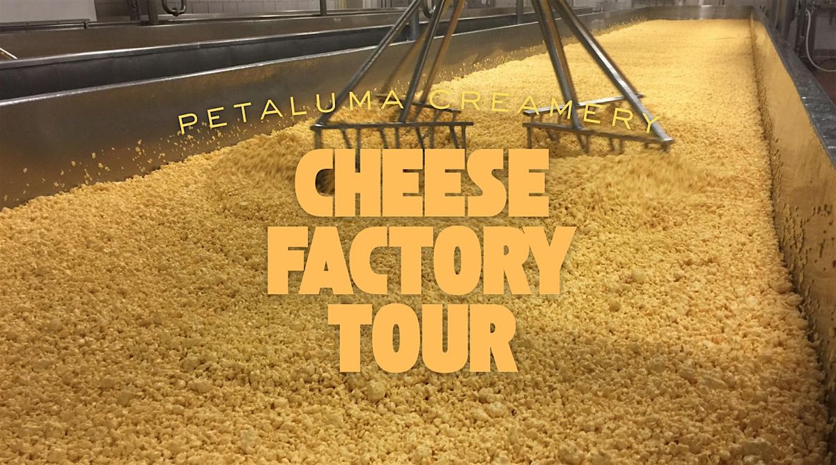 Copy of Petaluma Creamery Cheese Factory Tour, 11 October | Event in Petaluma | AllEvents