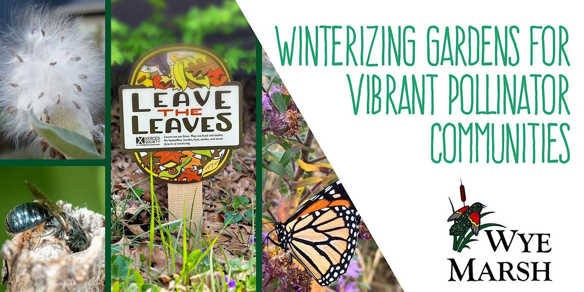 Winterizing Gardens For Vibrant Pollinator Communities, 5 October | Event in Midland | AllEvents