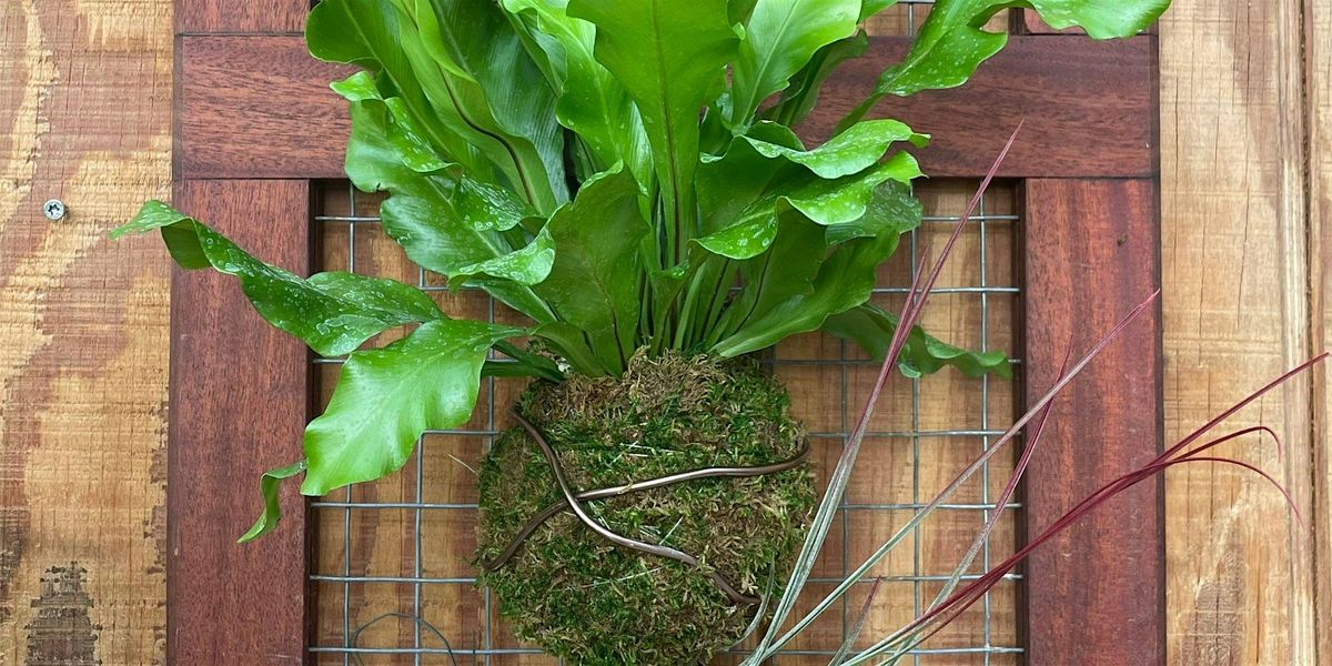 DIY Mounted Fern, 24 January | Event in Glenside | AllEvents