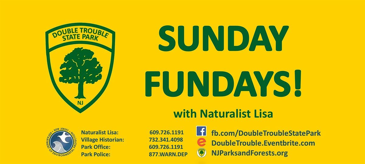 Sunday Fundays: Bee A Pollinator Pal  06/15/2025, 15 June | Event in Bayville | AllEvents