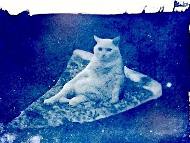 Alternative Processes Camp [High School] [August 6-8], 6 August | Event in Cleveland | AllEvents