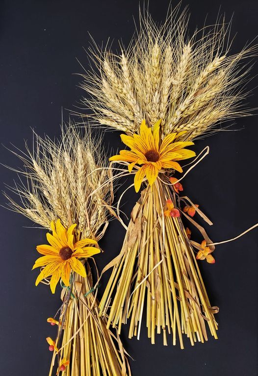 Events Activities To Do In Bucyrus Oh Tomorrow Allevents In Crawford Couny Fair Bucyrus Ohio 2022