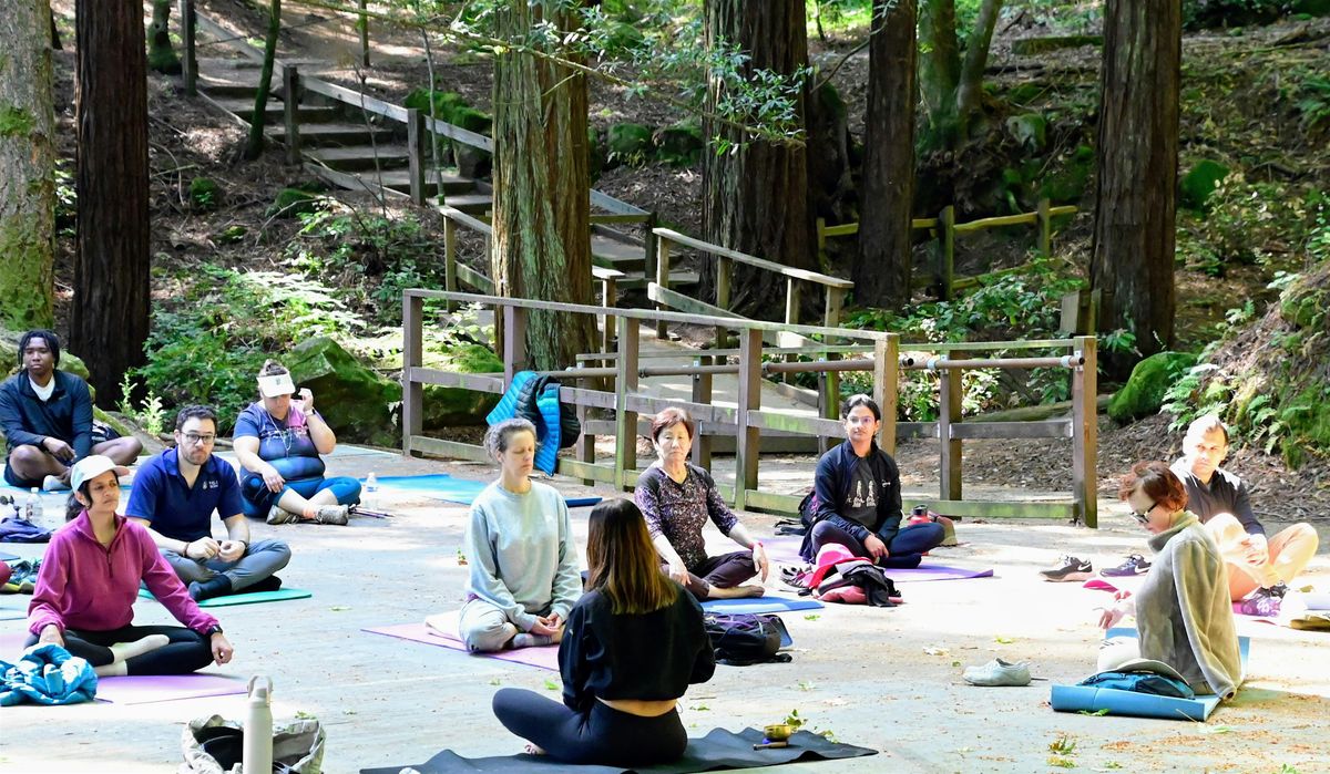 Winter Reset -  Flow and meditation pop up, 7 December | Event in Los Altos | AllEvents
