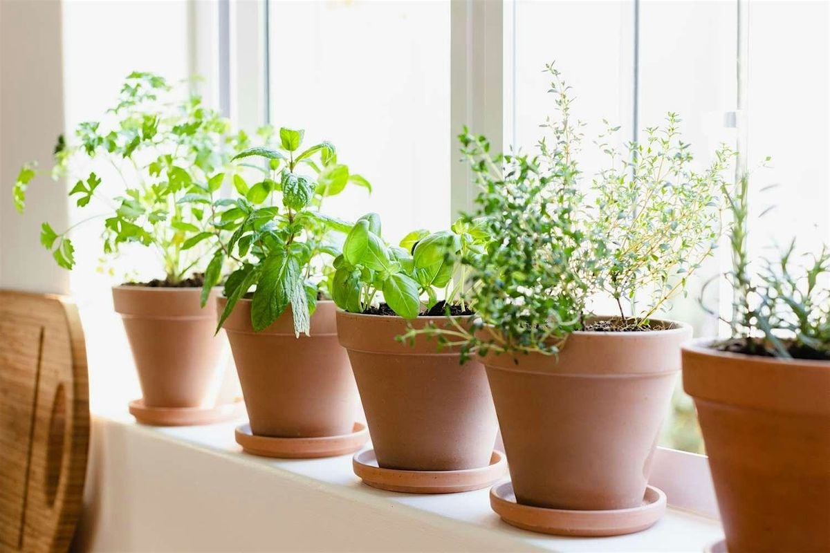Sharing Spaces - Growing Session!, 30 October | Event in London | AllEvents