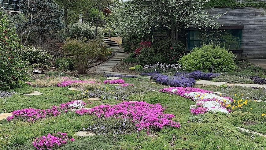 Think Green Thursday: Lawn Alternatives, 5 June | Event in Burlington | AllEvents