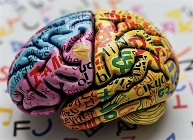 “Dyslexia 101 Unpacked: Building Awareness and Action in Education”, 20 June | Event in Alexandria | AllEvents