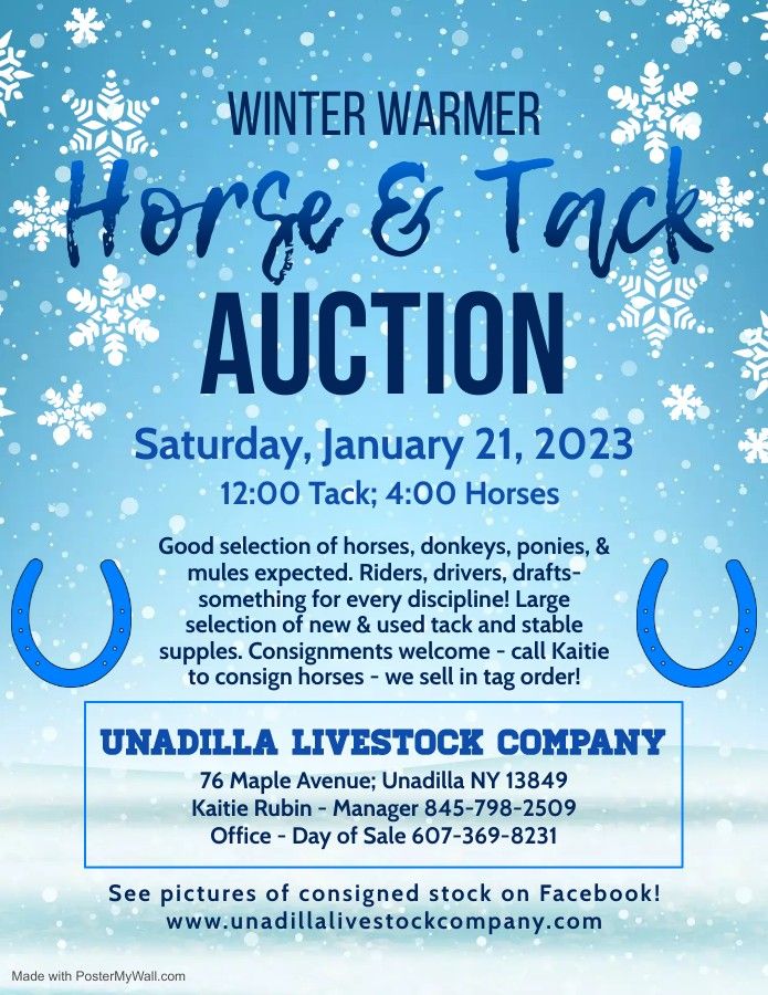 Unadilla Livestock January Horse & Tack Auction, Unadilla Livestock