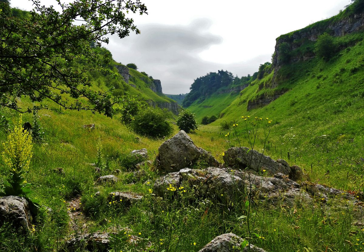 Youlgreave Dales, 8 June | Event in Bakewell | AllEvents