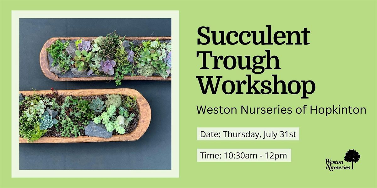 Succulent Trough Workshop, 31 July | Event in Hopkinton | AllEvents