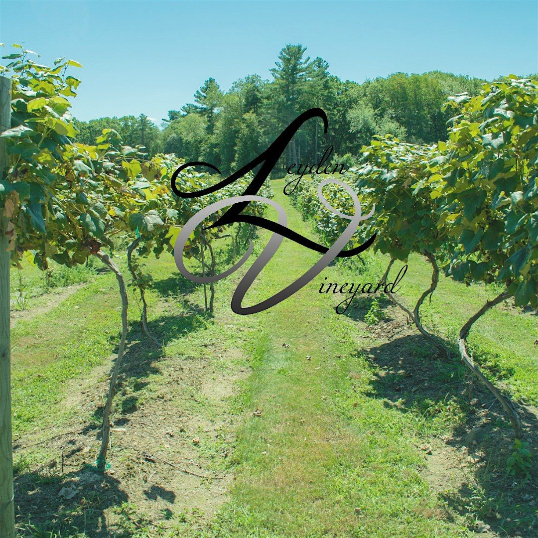 Leyden Vineyard's Wine Tasting - Spring & Summer 2025 | Event in West Greenwich | AllEvents