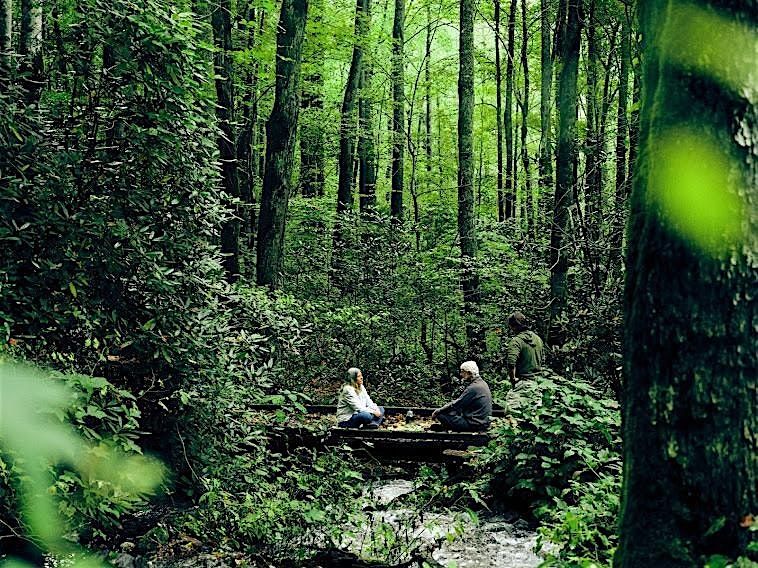 Rediscover the Unforgettable: Forest Bathing in Sylva, 13 September | AllEvents