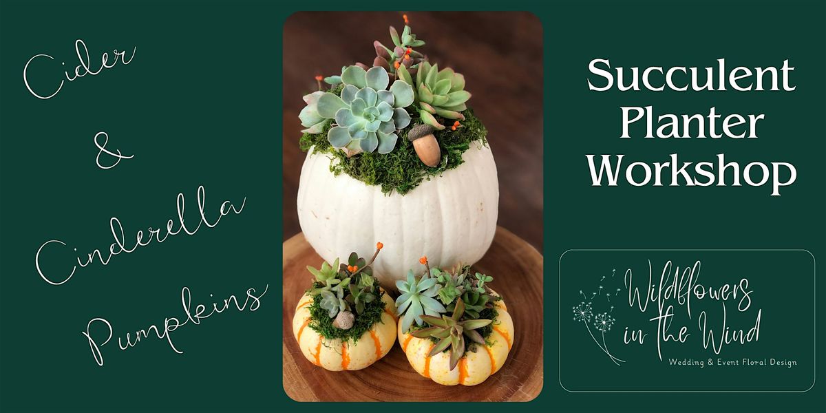 Succulent Pumpkin Planter Workshop: Cider & Cinderella Pumpkins, 21 October | Event in Big Cove Tannery