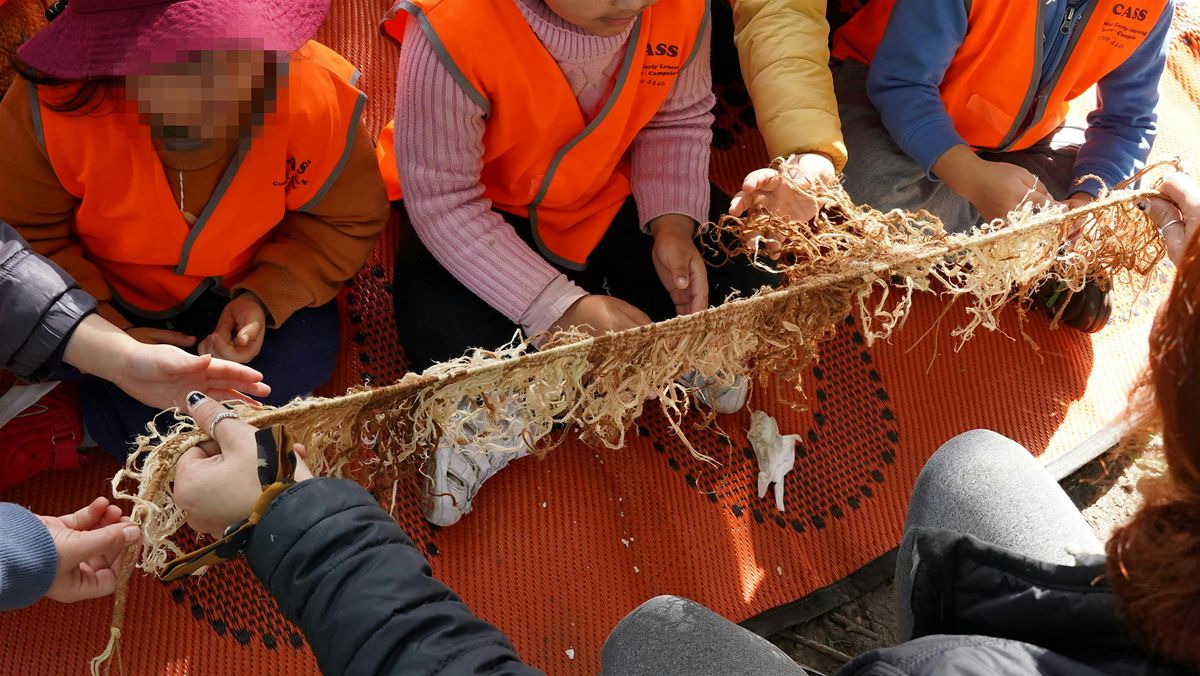 Aboriginal Cultural Weaving Workshop - Extended session with lunch, 11 December | Event in Bankstown | AllEvents