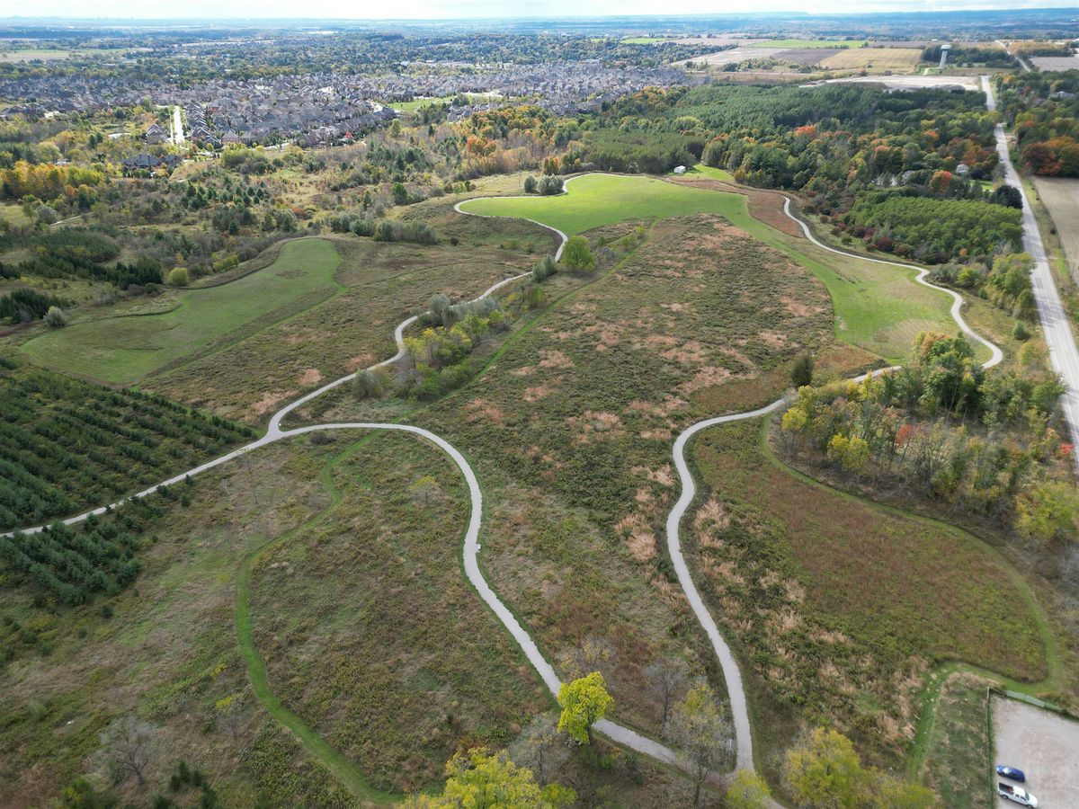 Tallgrass Prairie & Wetland Restoration in the York Regional Forest, 7 August | Event in King | AllEvents