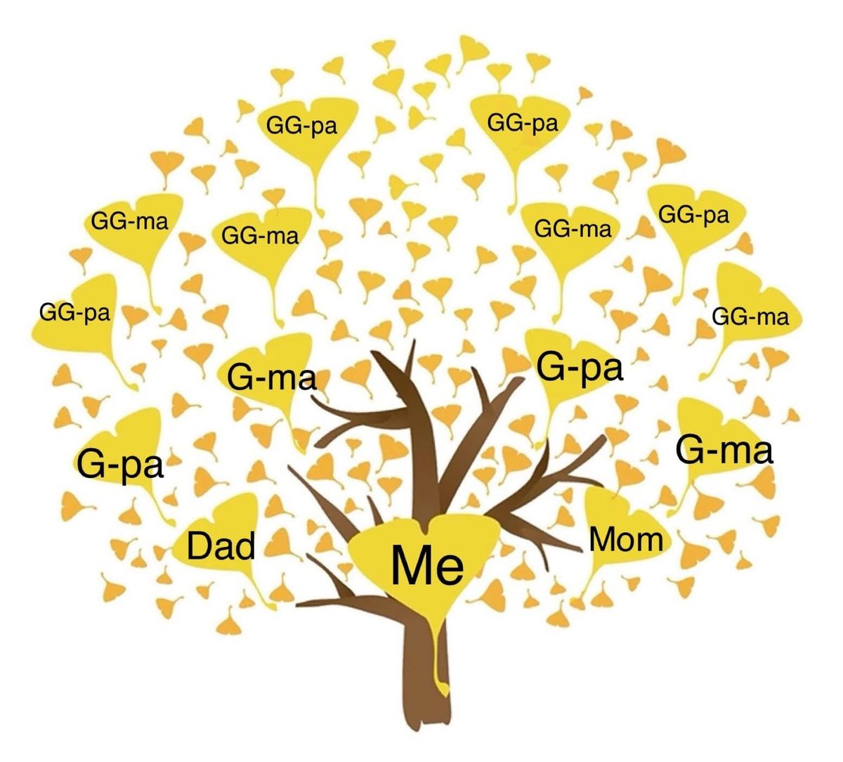 Genealogy Help Center Hours, 10 September | Event in St Joseph | AllEvents