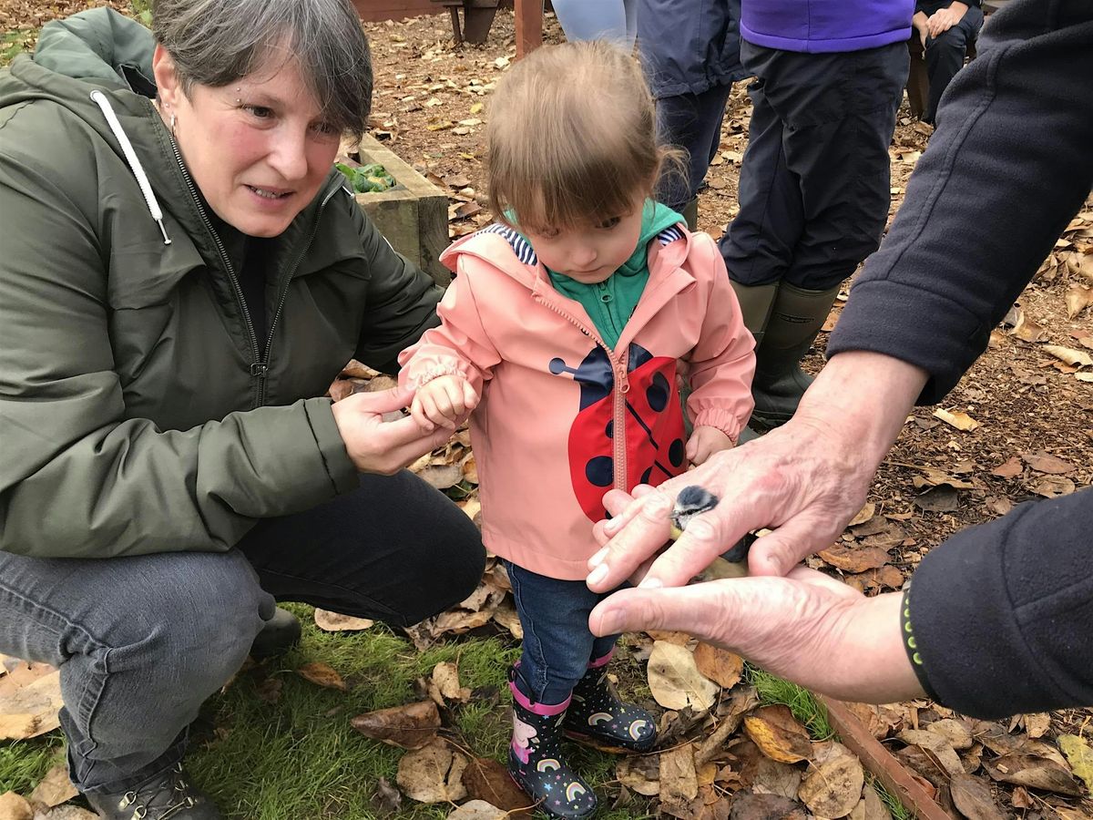 Bird-ringing Session, 14 February | Event in Wolverhampton | AllEvents