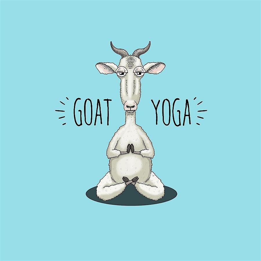 Yoga at the Zoo-Goats, 2 July | Event in Kansas City | AllEvents