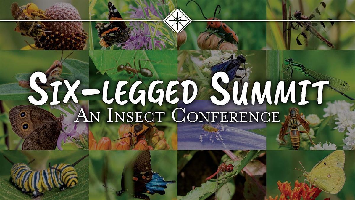 Six-legged Summit: An Insect Conference, 18 July | Event in Middleton | AllEvents